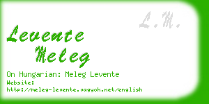 levente meleg business card